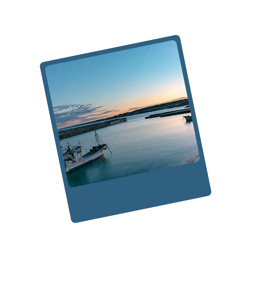 Professional Fisherman Selection