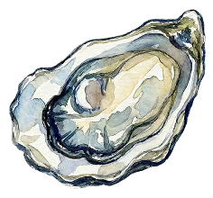 Kaki - Oyster