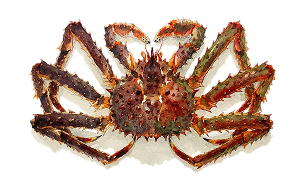 Hanasaki Crab