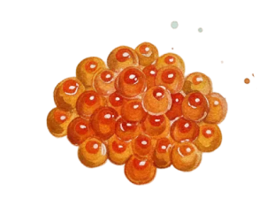 Ikura - Salmon Roe