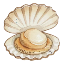 Hotate - Scallop